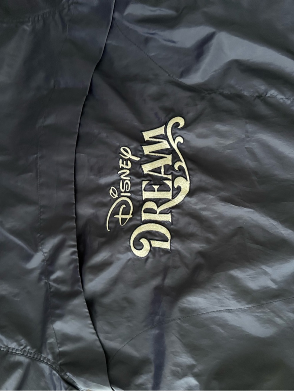 Disney Dream Cruise Line Lightweight Jacket Embroidered - Picture 3 of 3